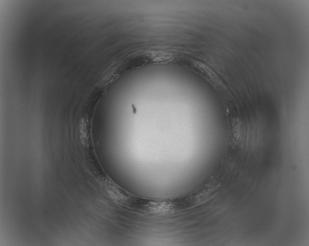 X0000073870667200608241136