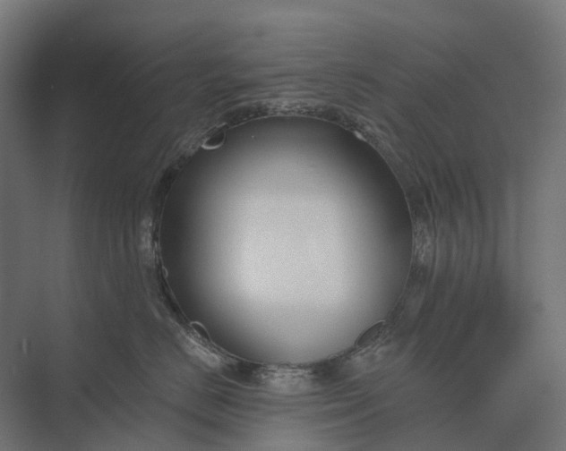 X0000073870670200608241136