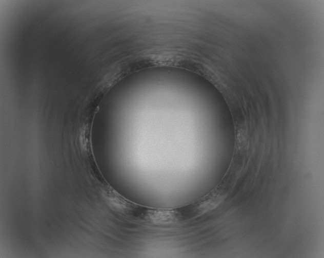 X0000073870671200608241136