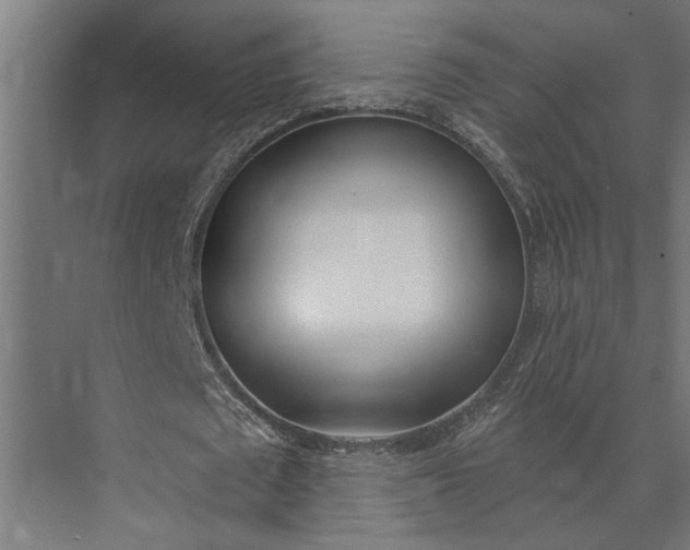 X0000073870673200608241135