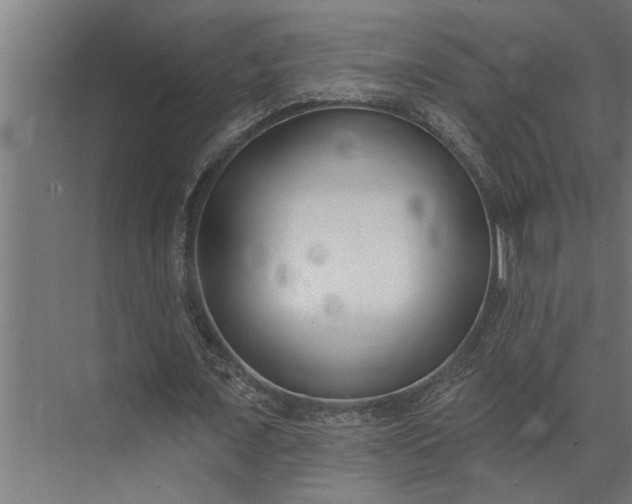 X0000073870675200608241135