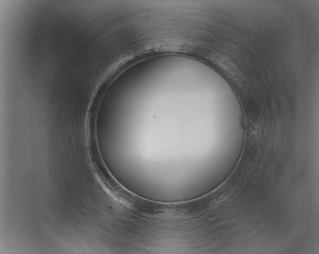 X0000073870678200608241135