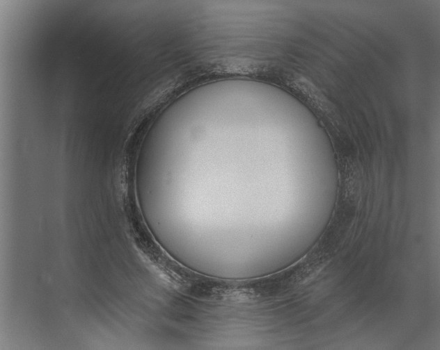 X0000073870683200608241135