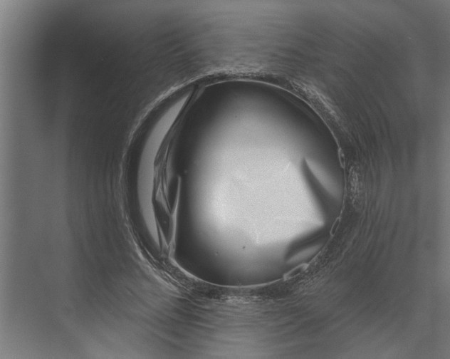 X0000073870684200608241135