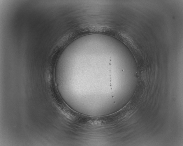 X0000073870687200608241135