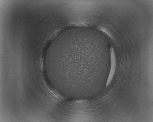 X0000073870692200608241135