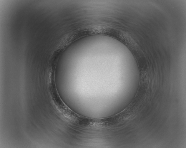 X0000073870694200608241135