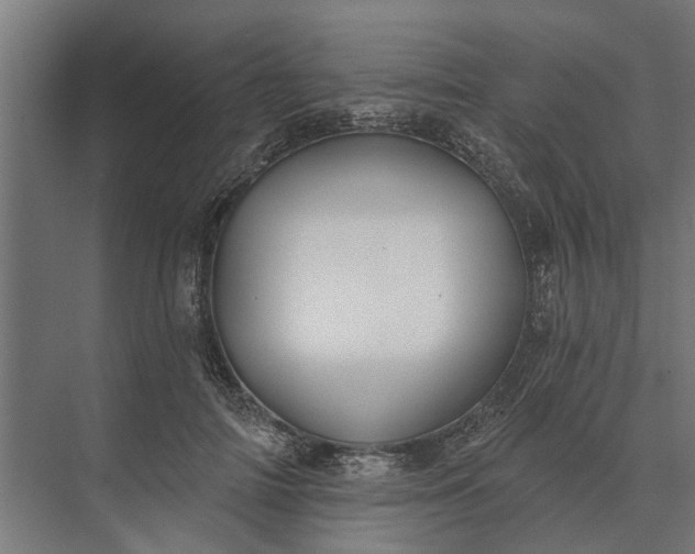 X0000073870698200608241135