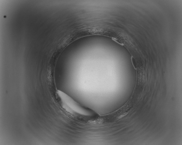 X0000073870700200608241135