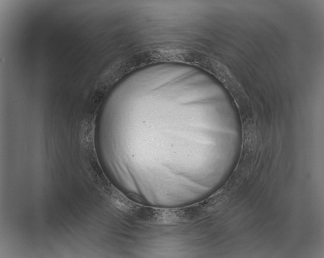 X0000073870701200608241135