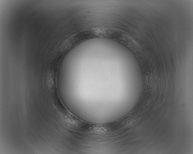 X0000073870702200608241135