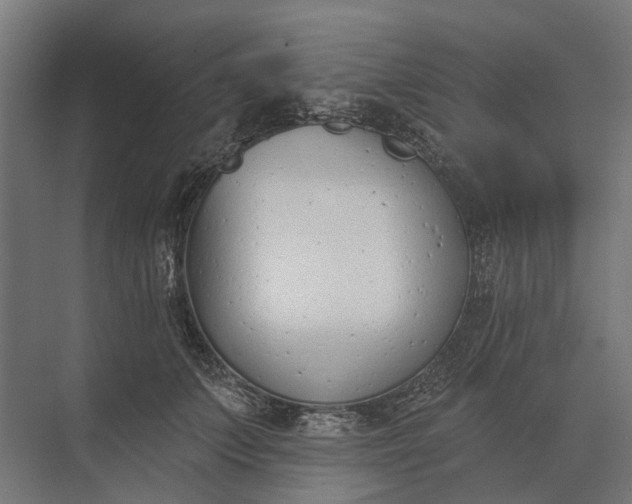 X0000073870703200608241135