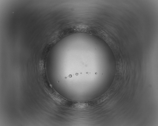 X0000073870711200608241135