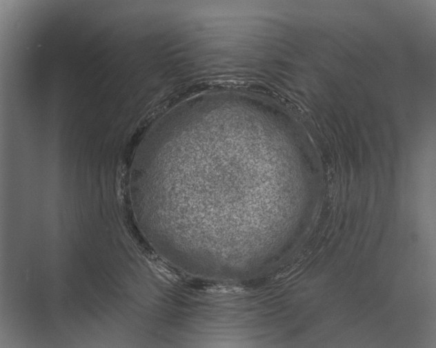 X0000073870712200608241134