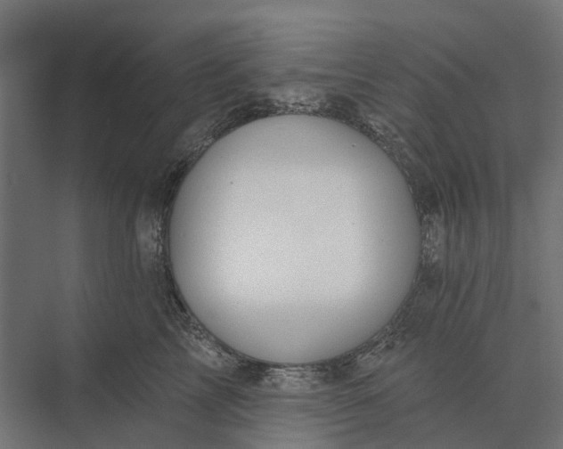 X0000073870713200608241134