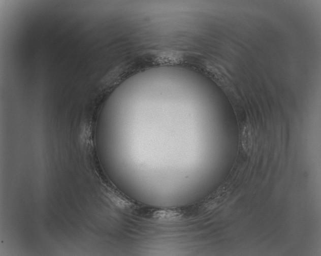 X0000073870714200608241134