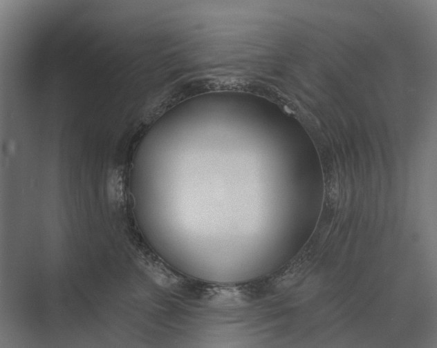 X0000073870715200608241134