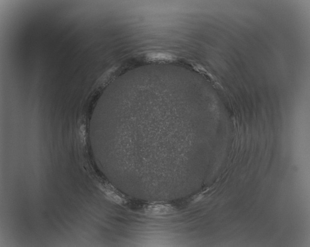 X0000073870716200608241134