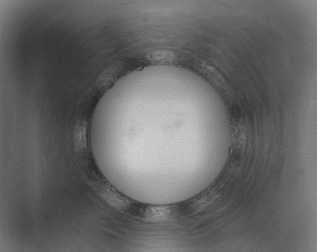 X0000073870717200608241134