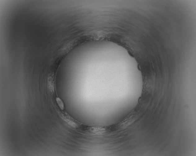 X0000073870719200608241134