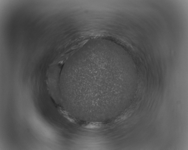 X0000073870720200608241134