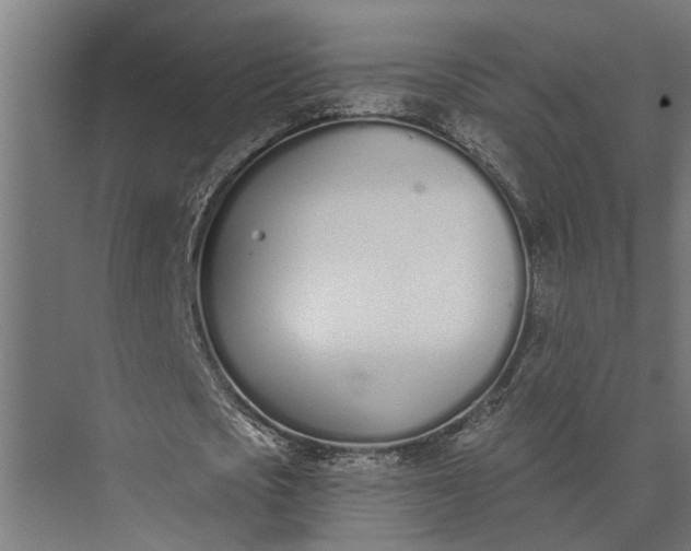 X0000073870721200608241134