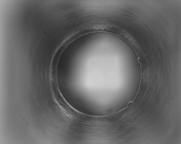 X0000073870722200608241134