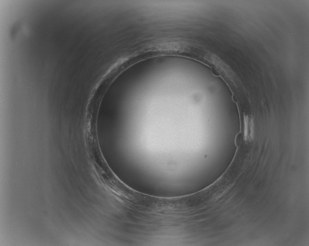 X0000073870723200608241134