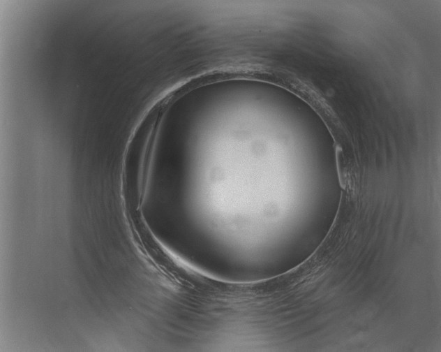 X0000073870724200608241134