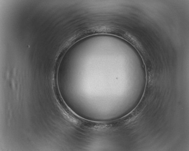 X0000073870725200608241134