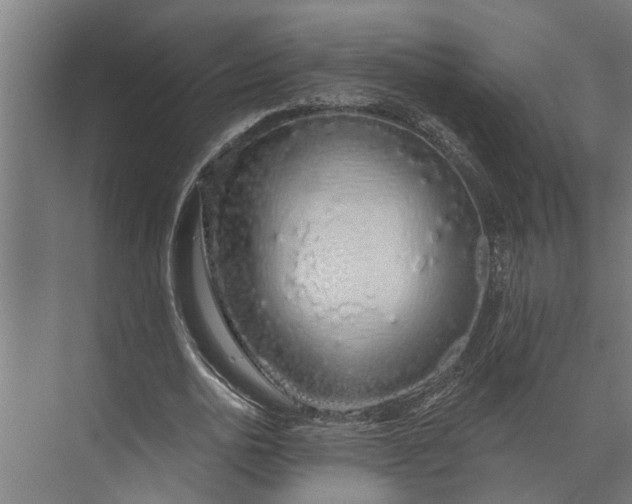 X0000073870726200608241134