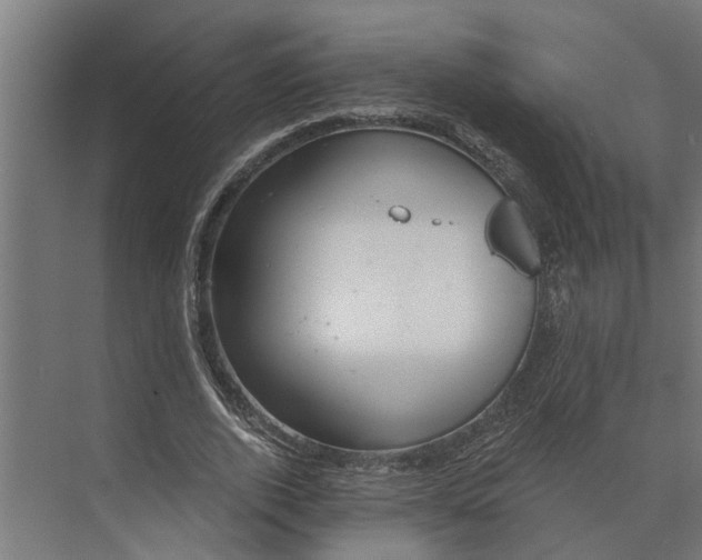 X0000073870728200608241134