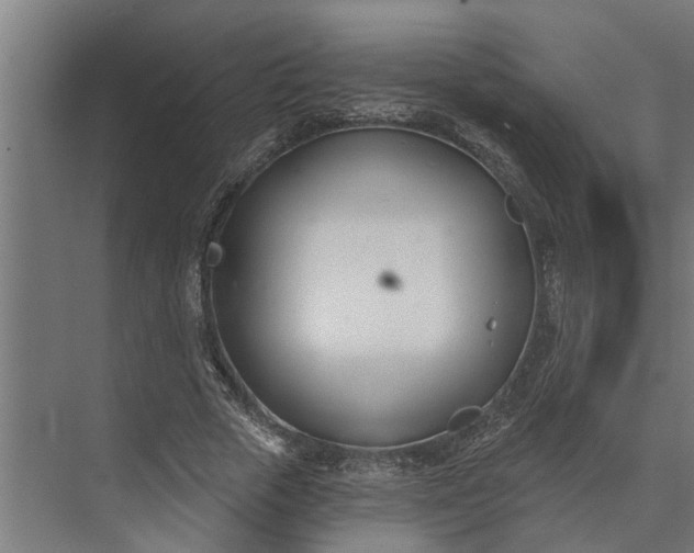 X0000073870729200608241134