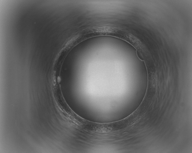 X0000073870731200608241134