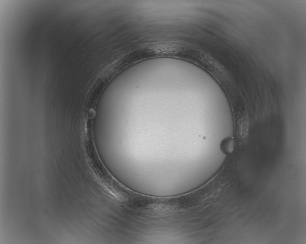 X0000073870733200608241134