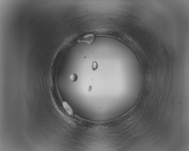 X0000073870734200608241134