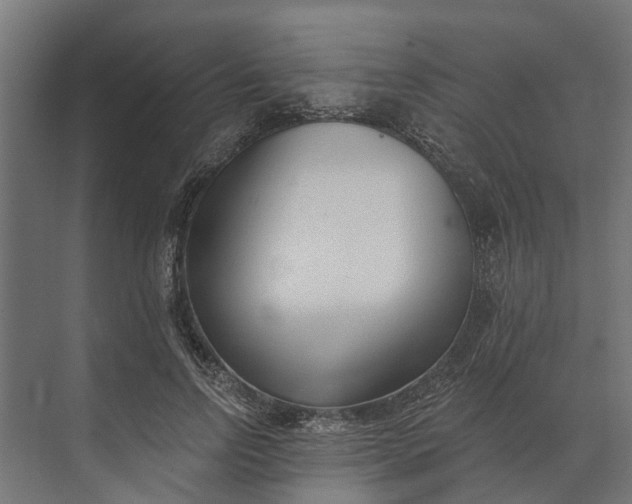 X0000073870742200608241134