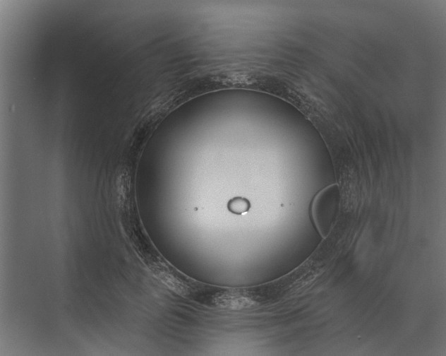 X0000073870747200608241134