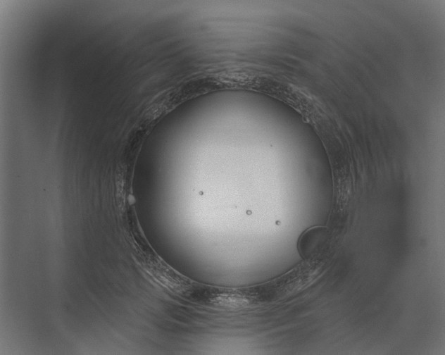 X0000073870749200608241134