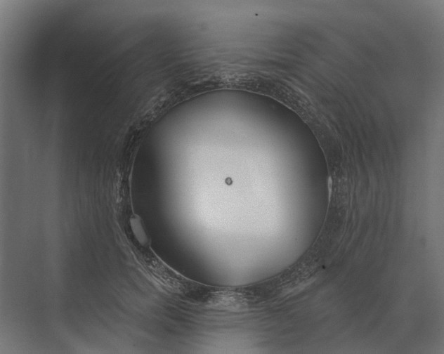 X0000073870750200608241134