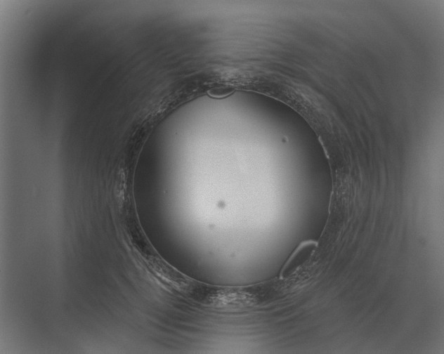 X0000073870752200608241134