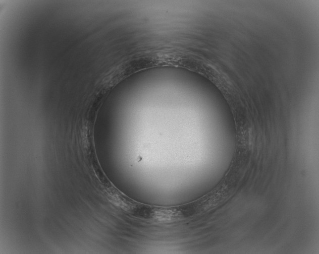 X0000073870757200608241134