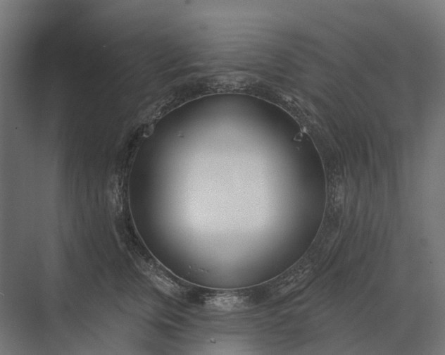 X0000073870759200608241134