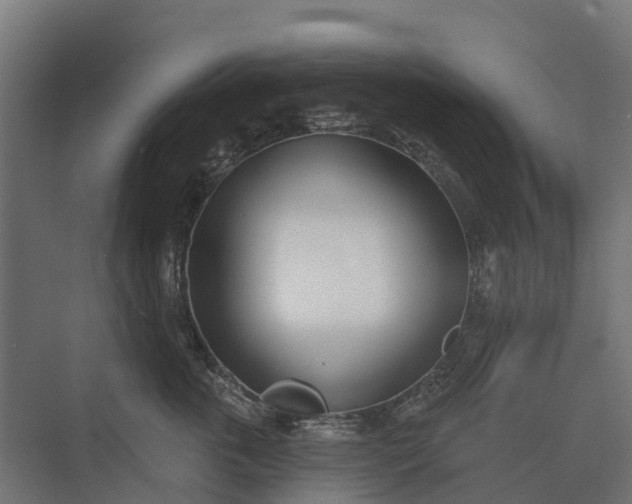 X0000073870763200608241134