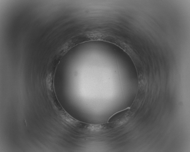 X0000073870767200608241134