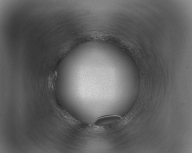 X0000073870768200608241134