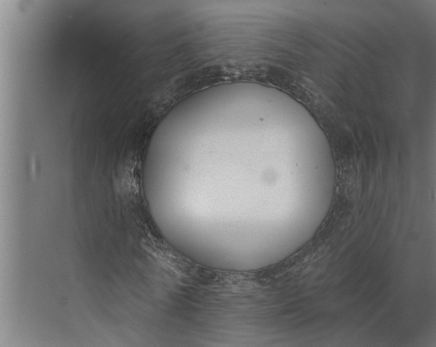 X0000073870770200608241134