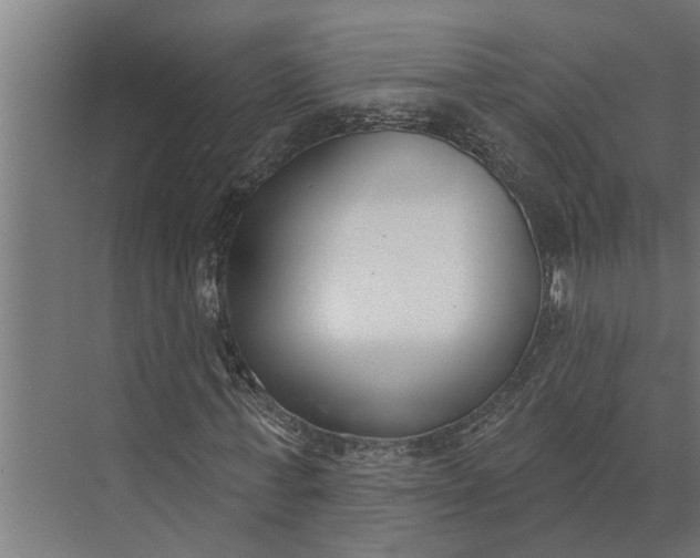 X0000073870771200608241134