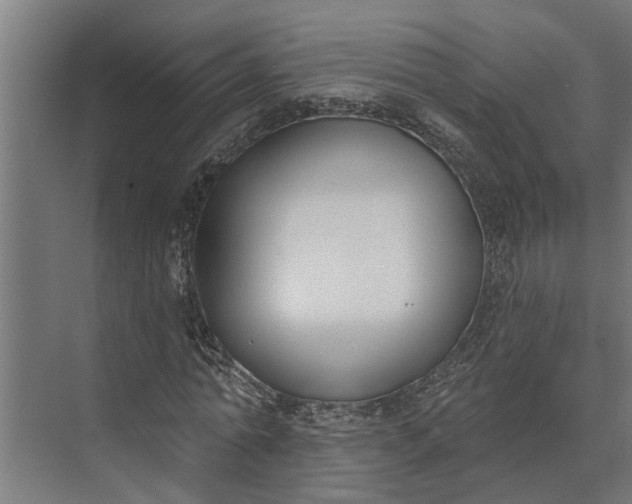 X0000073870774200608241133