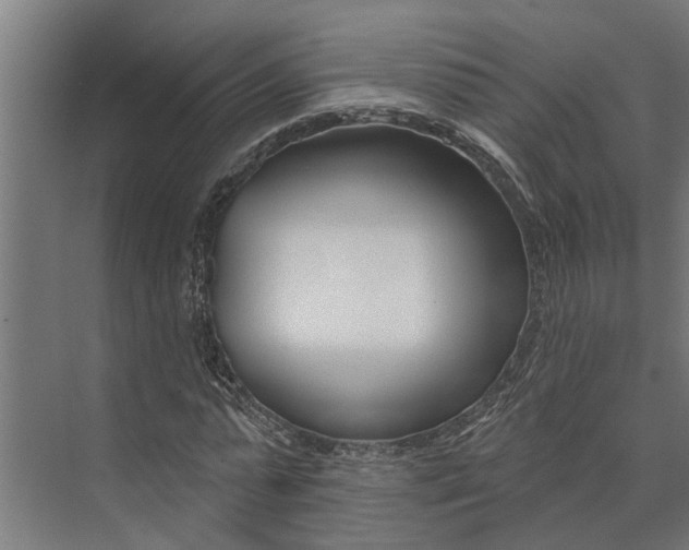 X0000073870775200608241133